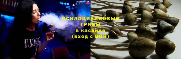 a pvp Алексеевка