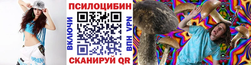наркота  Муром  Галлюциногенные грибы мухоморы 